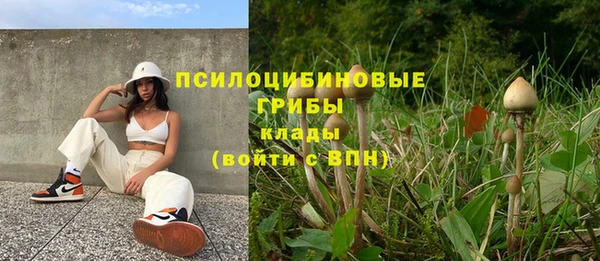 шишки Новозыбков