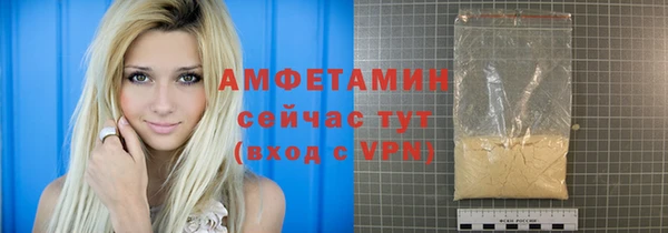 шишки Новозыбков