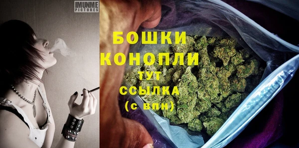 ECSTASY Новодвинск