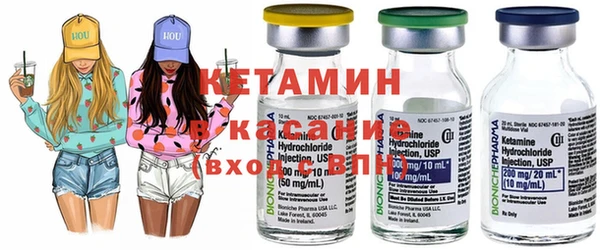 шишки Новозыбков