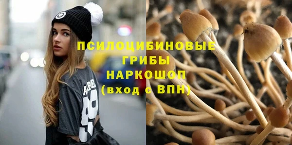шишки Новозыбков