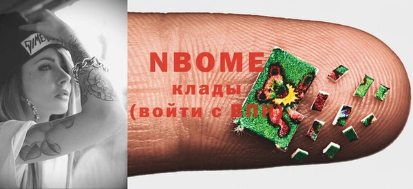 шишки Новозыбков