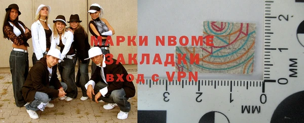шишки Новозыбков
