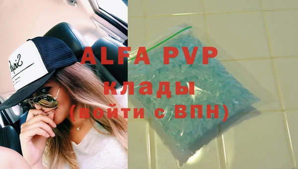 ECSTASY Новодвинск