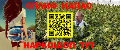 шишки Бузулук