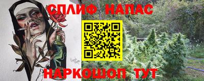 прущие грибы Беслан