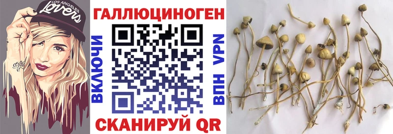 Псилоцибиновые грибы Psilocybe  Волгоград 