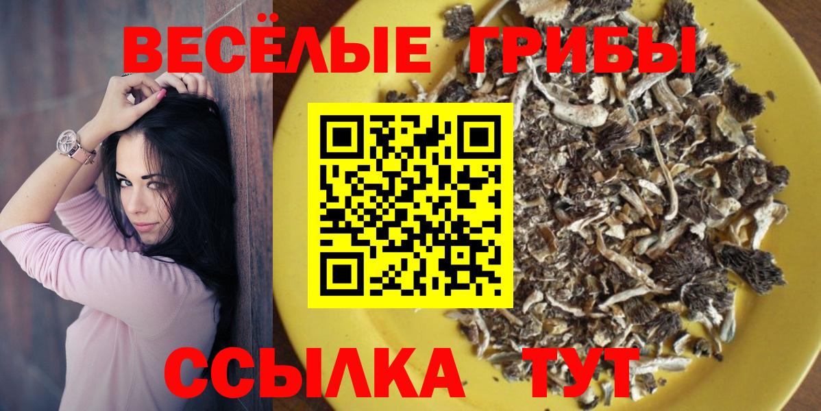 Волгоград  Вход с VPN  Каннабис  Cocaine  Гашиш  Меф МЯУ МЯУ   Метамфетамин  ЭКСТАЗИ  Гашиш  МЕФ  МДМА  А ПВП СК  