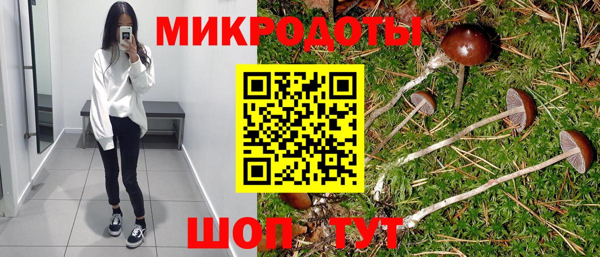 Галлюциногенные грибы мицелий Волгоград