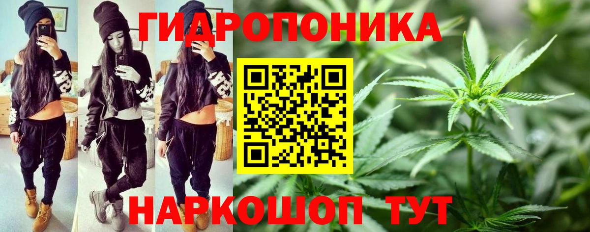 Конопля конопля  Вход с VPN  Канабис LSD WEED  Шишки марихуана Amnesia  Каннабис LSD WEED  Волгоград 